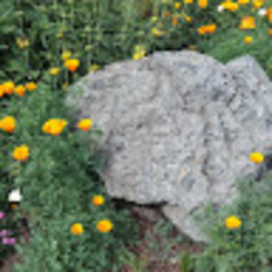 Meet your Posher, Ma